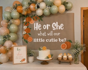 Little Cutie Gender Reveal-banner / He of She What Will Our Little Cutie Be / Oranje thema babyshower decor / Citrus Gender Reveal-achtergrond