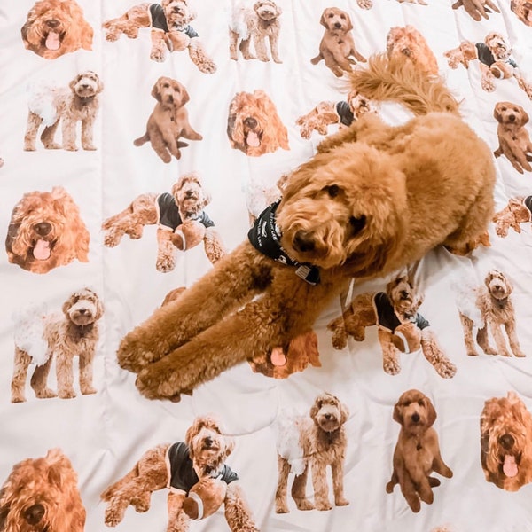 DUVET de mascotas personalizado, cubierta de cama personalizada, imágenes personalizadas, sus fotografías, ropa de cama, completo, doble, reina, rey, a todo color, regalo perfecto!!