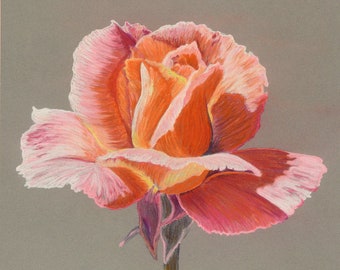 Giclee Fine Art Print of "Bette Midler - The Rose"