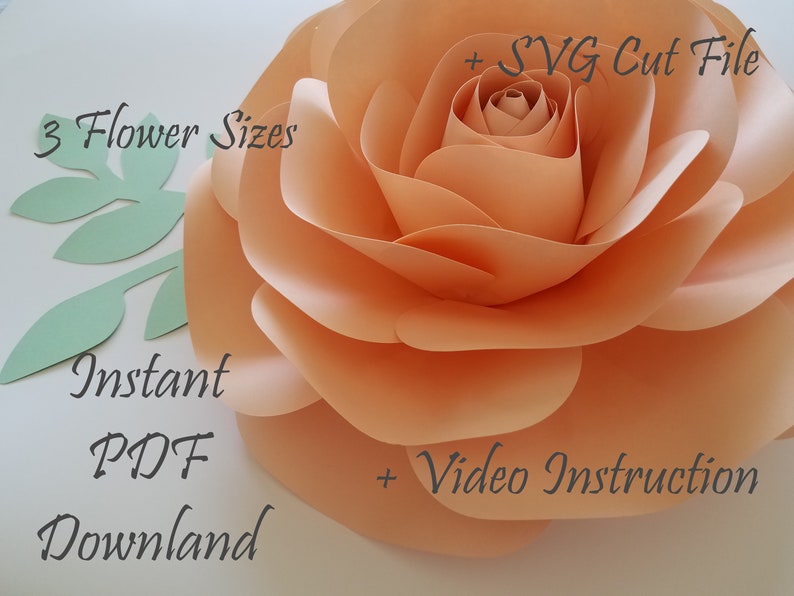 Pdf And Svg Paper Flower Template Diy Paper Rose Paper Etsy - image 0