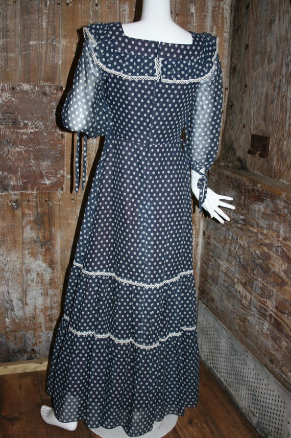 Vintage 70s polka dot maxi dress, Cresta blue dot… - image 9