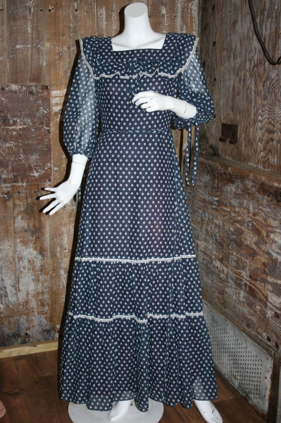 Vintage 70s polka dot maxi dress, Cresta blue dot… - image 1