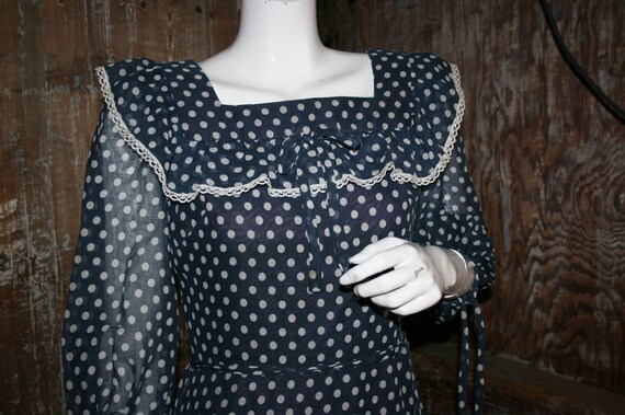 Vintage 70s polka dot maxi dress, Cresta blue dot… - image 3