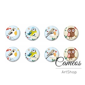 Conjunto de cabujones de vidrio de pájaros, azul marrón animal redondo cúpula plana encanto colgante pernos collar joyería fabricación suministro de artesanía DIY, conjunto de 8