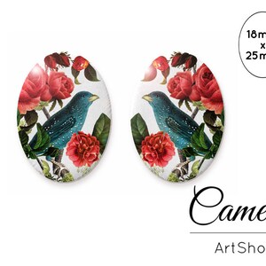 Vintage Cabochon 18x25mm,  Vogel cabochon, cabochon glas blume, foto cabochons, cabochon fassung- O122
