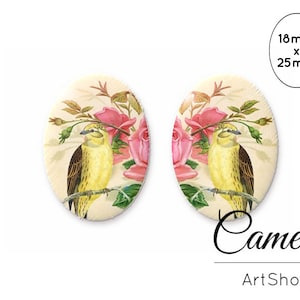 Cabochons Oiseaux 18x25mm, Cabochons Animaux, Cabos à dôme en verre, Cabochon en verre photo pour la fabrication de bijoux, Dôme en verre - 0327