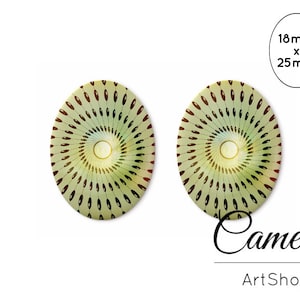 Handmade Cabochon, Glass Domes, 18x25mm, Oval, Image cabochon, Photo Glass Cabochon - 0298