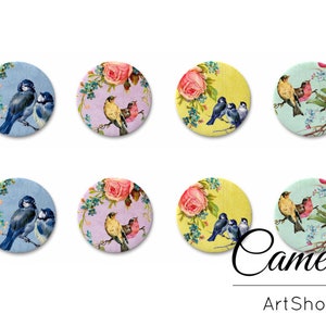 8 stuks Cabochons, Fotoglas Cabochon 18mm 14mm 12mm 10mm, Vogels patroon cabochon, beeldglas cabochons, hangers, oorbellen - C1554