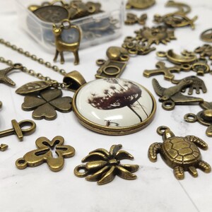May include: A collection of bronze-toned metal charms and pendants, including a necklace with a clover charm and a round pendant with a dried flower design. The charms are arranged on a white surface.