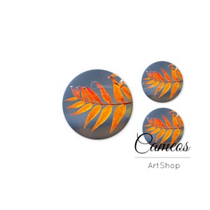 Cabochon photo en verre fait main feuille, cabochons ronds en forme de dôme en verre, pendentif cabochon motif feuilles de 25 mm - S1638