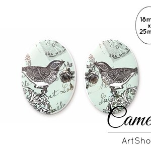 Cabochões vintage 18x25mm, cabochões Birds Rose, cabos de cúpula de vidro, cabochão de vidro fotográfico para fabricação de joias, cúpula de vidro - 0326