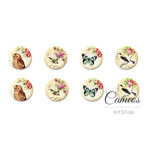 8 Stück Vintage Foto Glas Cabochon, 8mm 10mm 12mm 14mm 16mm, Runde VögelPattern Glas Cabochon - C1520