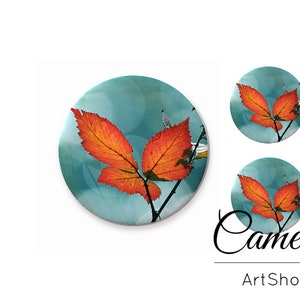 Feuilles Cabochons, Cabochons en verre, 8mm 10mm 12mm 14mm 16mm 18mm 20mm 25mm, Cabochon à motif d’automne, Dôme en verre - S1227