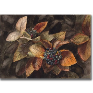 Autumn leaves with black berries, Watercolour Study, no AI