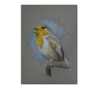 Rotkehlchen, Ölpastell Zeichnung auf dunkel getöntem Papier, Kunst Skizze Vogel Tiere Wald Flügel Natur Porträt Singvogel Kulturfolger