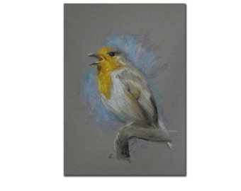 European Robin Oil Pastels Drawing on Toned Dark Gray Paper