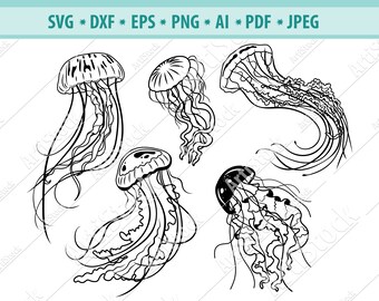 Free Free 71 Outline Cute Jellyfish Svg Jellyfish Clipart SVG PNG EPS DXF File