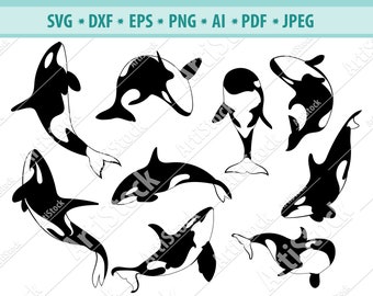 Download Orca Svg Etsy