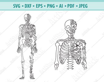 Download Human Skeleton Svg Etsy