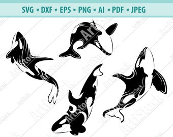 Download Orca Svg Etsy