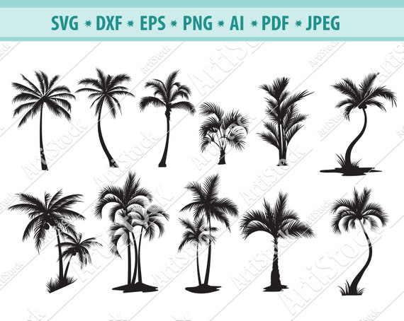 Download Palm Tree Svg Bundle Palm Tree Svg Palm Tree Clipart Palm Etsy