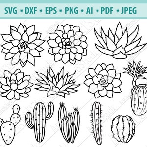 Pacote Cactus SVG, Suculentas SVG, Plantas Clipart, Arquivos de cacto para silhueta, Arquivos para Cricut, Plantas Vector Svg, Dxf, Png, Eps, Design
