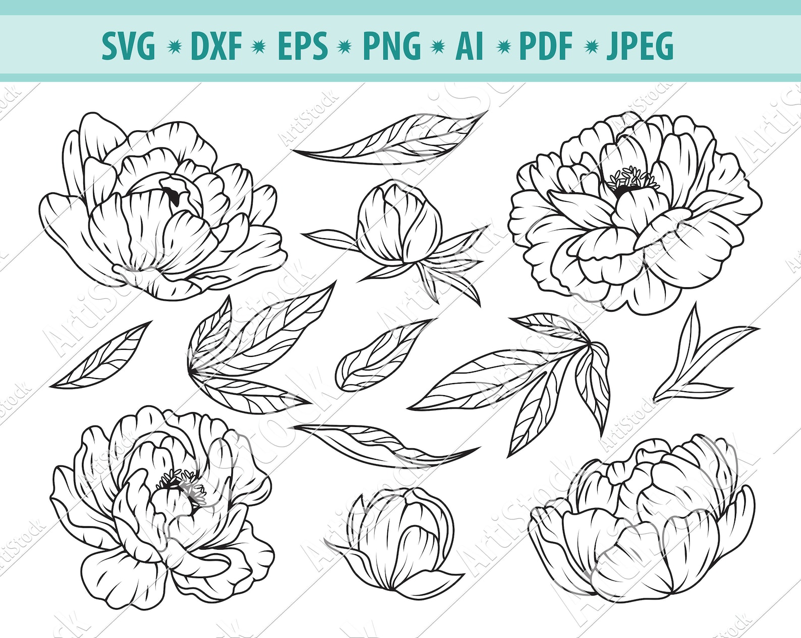 Peony Svg Bundle Peonies Flowers Svg Peony Clipart Peony Etsy