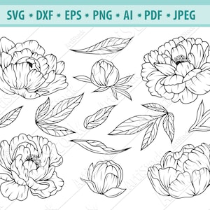 Pfingstrose Svg Bundle, Pfingstrosen Blumen Svg, Pfingstrose Clipart, Pfingstrose Blätter Svg, Blumenkranz Svg, Blume Svg, Hochzeit Pfingstrose Svg, Silhouette, Cricut