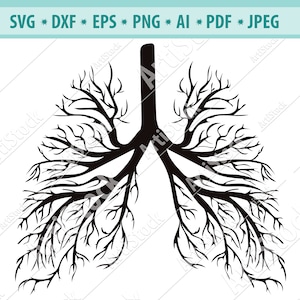 Menschliche Lunge Svg, Lunge Svg Blumig, menschliche Lunge Silhouette, menschliche Lunge Vektor, Clipart. Svg. Png. Eps. Dxf. Pdf, Cricut Silhouette, geschnitten E-Datei,