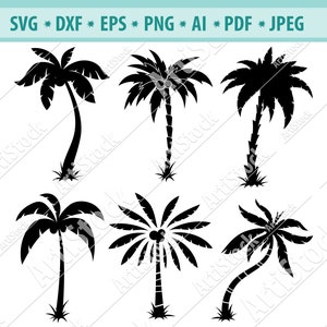 Paquete SVG de Palm Tree, Palm Tree SVG, Palm Tree Clipart, Palm Cut Files For Silhouette, Files for Cricut, Vector, Svg, Dxf, Png, Eps, Design