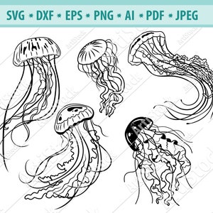 Puede incluir: Cinco dibujos en blanco y negro de medusas con tentáculos. Las medusas están en varias posiciones y tienen diferentes formas.