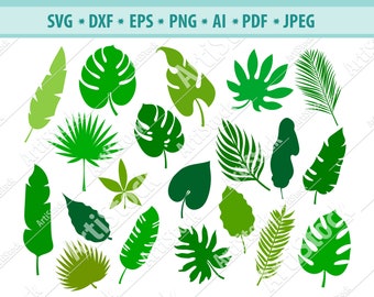 Palm leaves SVG, Leaves SVG, Exotic leaf clipart, leaves cut files, Palm leaf svg, tropical leaves, Leaf svg Cricut cut files, leaves bundle