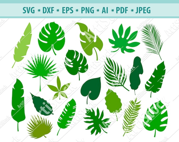 Download Palm Leaves Svg Leaves Svg Exotic Leaf Clipart Leaves Cut Etsy