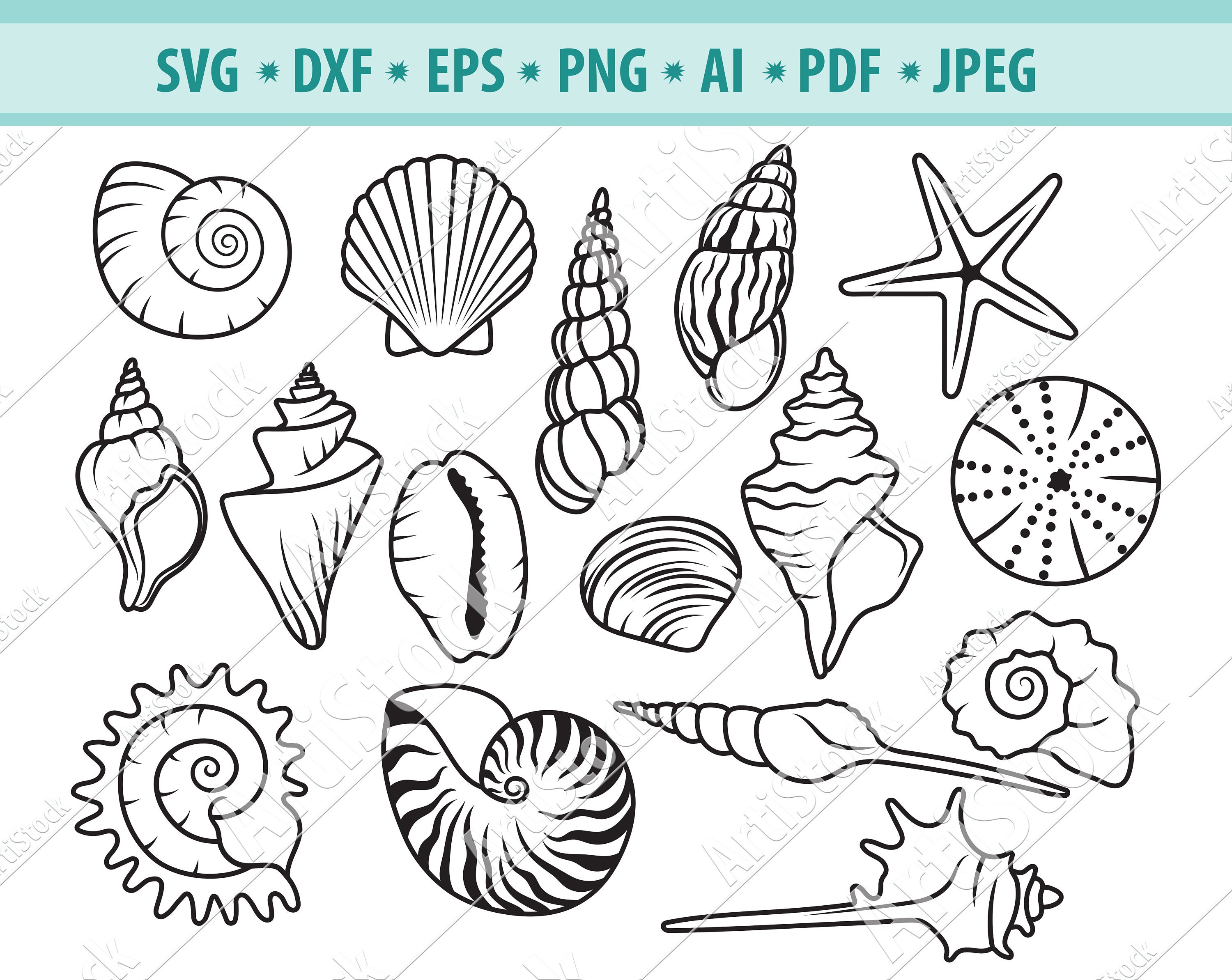 Seashells Svg Shell Clipart Underwater World Svg Ocean Svg Etsy Uk ...