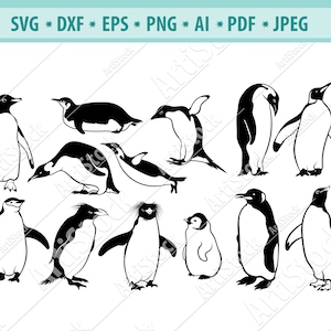 Penguin SVG, Penguin Clipart, Penguin Files for Cricut, Penguin Cut Files For Silhouette,Cute Penguin SVG, Winter Clip Art, Dxf, Png, Eps