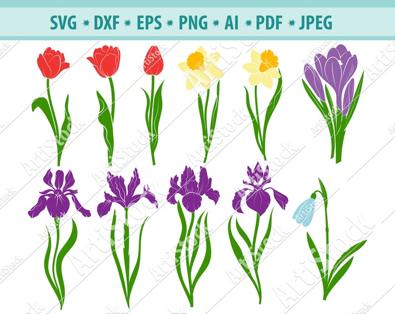 Download Tulip svg Narcissus svg Iris svg Crocus svg Flower svg | Etsy