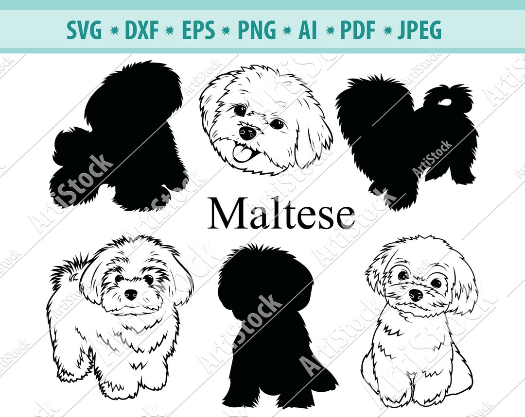 Maltese SVG, Maltese Silhouettes, Maltese, Dog Breeds SVG, Digital ...
