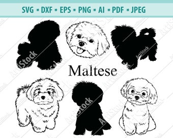 Maltese SVG, Maltese Silhouettes, Maltese, Dog Breeds SVG, Digital Cutting File, Vector, Cricut Cut, Instant Download, Dxf, Jpg, Eps, Png