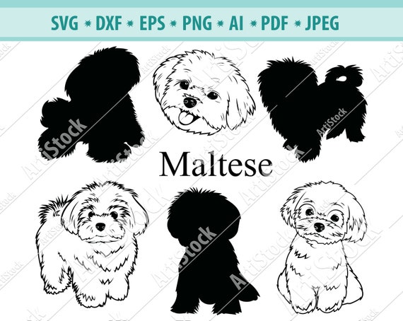 Download Maltese Svg Maltese Silhouettes Maltese Dog Breeds Svg Etsy PSD Mockup Templates