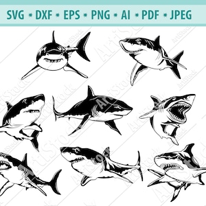 Shark SVG, Shark Clipart, Sharks mascot svg, Shark png, Great white shark, Silhouette cut file, Shark Clip Art png, cricut svg, Digital file
