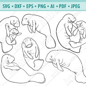 Manatee Svg Bundle, Family manatee Svg, Ocean Creatures Svg, Manatee Cut File, Manatee Clipart, Sea Life Svg, Maritime svg, Sea Cow Svg, Png