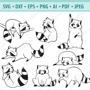 Raccoon Svg File, Forest Animal Svg, Rayed Raccoon Svg, Thief Svg, Cute Raccoon Svg, Funny Animal Svg, Raccoon Clipart, Vector, Eps, Dxf