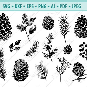 Pigna SVG, Autunno Svg, Pigna Woodland Svg, Pianta autunnale Svg, Cone di conifere Svg, Clipart di pigna, Pigna tagliata file, Eps, Dxf, Png