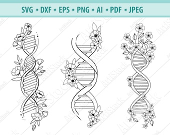 DNA molecule Svg, Flower Dna Svg, Double helix Svg, Genetic DNA Svg, Floral biology Svg, Medical clipart, Dna Svg File, Silhouette, Eps, Dxf
