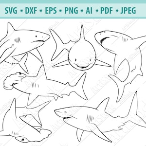 Shark SVG, Shark Clipart, Sharks mascot svg, Shark png, Great white shark, Silhouette cut file, Shark Clip Art png, cricut svg, Digital file