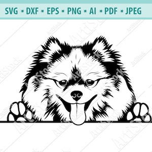 Peeking spitz SVG, Paws Dog Svg, Logo de l’animal de compagnie, Purebred Svg, Fluffy dog Svg, Peeking Dogs SVG, Pomeranian Spitz Clipart, Cricut, Png, Dxf, Eps