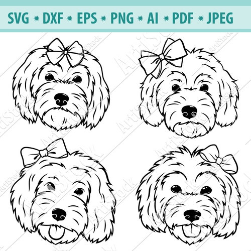 Why Does My Dog Bow Her Head