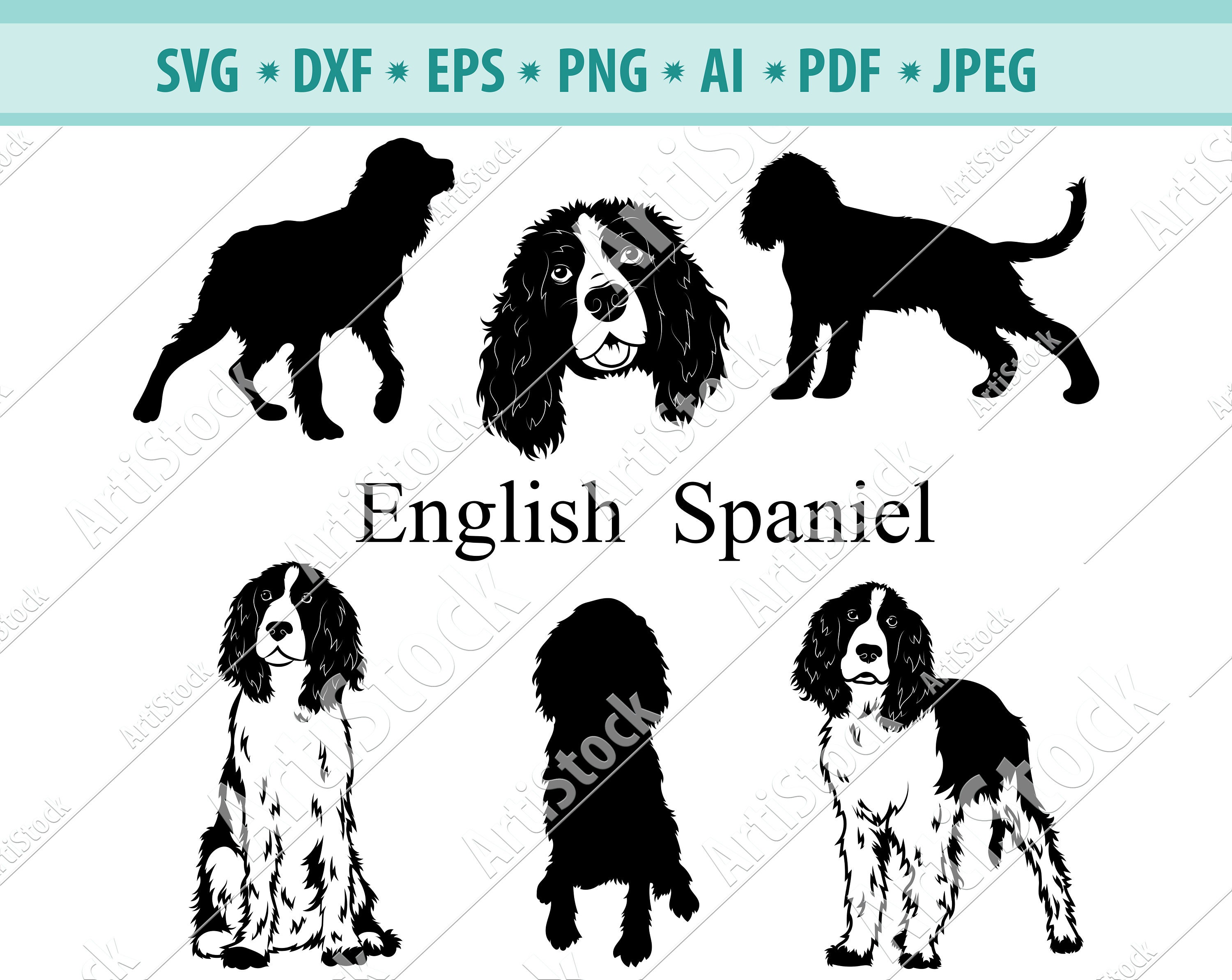 English Spaniel SVG, Spaniel Silhouette SVG, Dog SVG, Digital Cutting File, Vector File, Cricut Cut, Instant Download, Svg, Dxf, Eps, Png