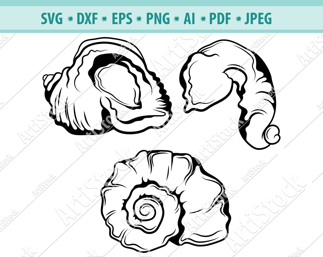 Seashell SVG, Shell Svg, Seashell Clipart, Clam Svg, Ocean Svg, Marine