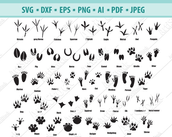 Download Animal Paw SVG Paw Prints SVG Footprints Svg Files for | Etsy